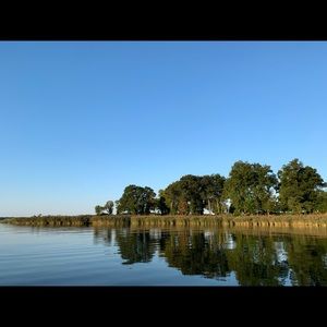 Meet your Posher, Sophie